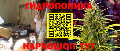 mdpv Лесосибирск