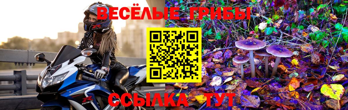 Гатчина  Галлюциногенные грибы ЛСД  наркота  Вход с VPN  Псилоцибиновые грибы Psilocybine cubensis 